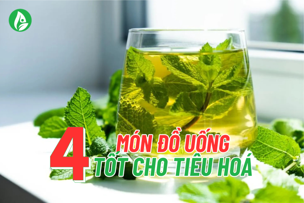 Các món đồ uống tốt cho tiêu hoá sau khi ăn tối